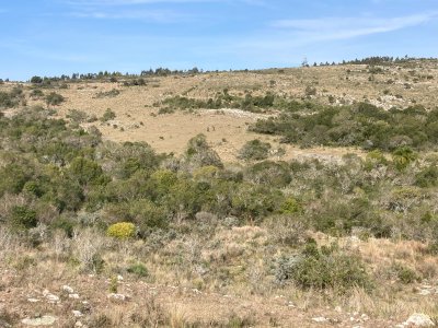 Campo / Chacra en Venta en Sierras de Rocha, Rocha, Rocha