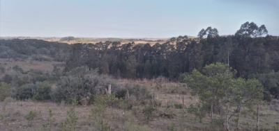 Campos y Chacras en Venta en Sierras De Rocha, Rocha