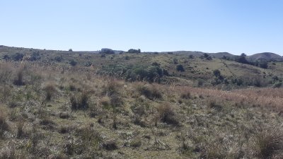 Campo / Chacra en Venta en Sierras de Rocha, Rocha, Rocha