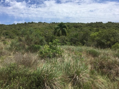 Campo / Chacra en Venta en Sierras De Rocha, Rocha