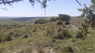 Campos y Chacras en Venta en Sierras De Rocha, Rocha