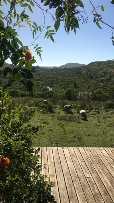 Casas en Alquiler,  Alquiler Turístico en Sierras De Rocha, Rocha