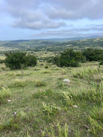 Campo / Chacra en Venta en Sierras de Rocha, Rocha, Rocha