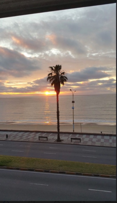 Apartamentos en Alquiler en Pocitos, Montevideo