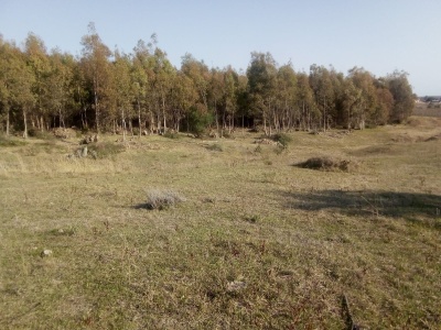 Campo / Chacra en Venta en Guichón, Paysandú