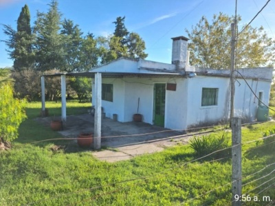 Campo / Chacra en Venta en ZONA MOLINO QUEMADO, Paysandú, Paysandú