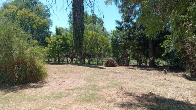 Terreno en Venta en Paysandú, Paysandú