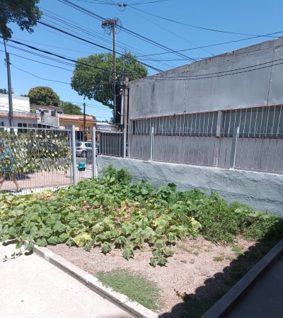 Casa en Alquiler en Belvedere, Montevideo