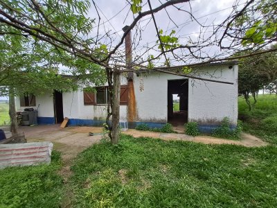 Chacras en Alquiler en Batoví, Tacuarembó, Tacuarembó