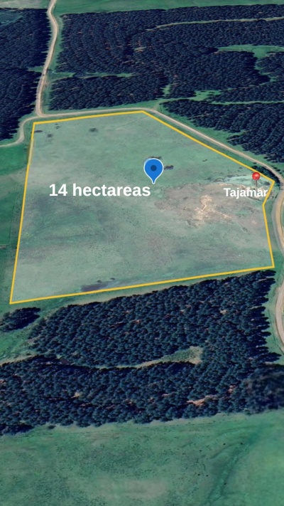 Campo / Chacra en Venta en Rincón de Giloca, Tacuarembó, Tacuarembó