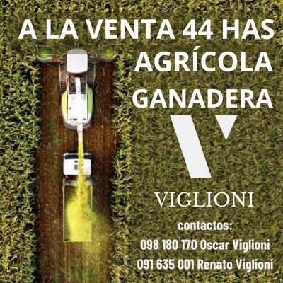 Campos y Chacras en Venta en Gaetán, Lavalleja