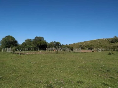 Campo / Chacra en Venta en Colón, Minas, Lavalleja