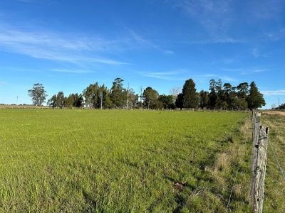 Campos y Chacras en Venta en Altos del Santa Lucía, Minas, Lavalleja