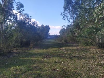 Campo / Chacra en Venta en Molles, Durazno