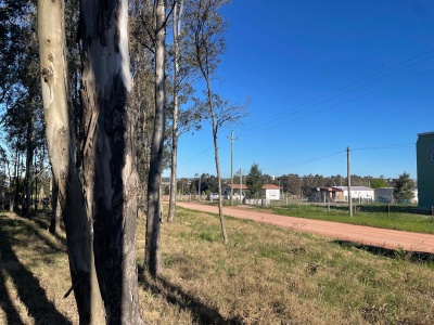 Terrenos en Venta en Mercedes, Soriano