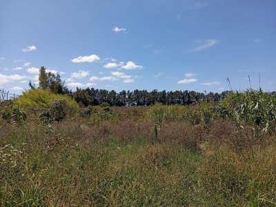 Terreno en Venta en Altos de La Tahona, Ciudad de la Costa, Canelones