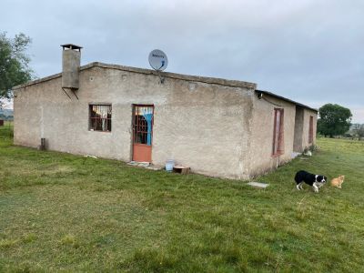 Campo / Chacra en Venta en CAMPO DE TODOS, Campo De Todos, Salto