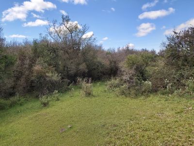 Campo / Chacra en Venta en San Gregorio, San José