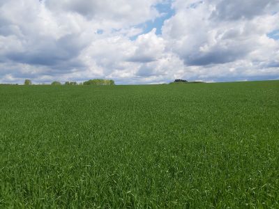 Campo / Chacra en Venta en Chapicuy, Paysandú