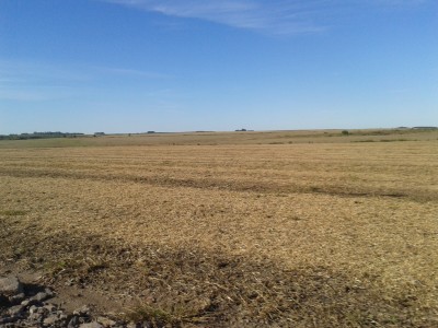 Campo / Chacra en Venta en Young, Río Negro